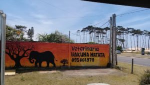 AF1QipOzEaEv0ZNmTz0LrmSufii2opyyH1gEm4PIpU4t=w426-h240-k-no