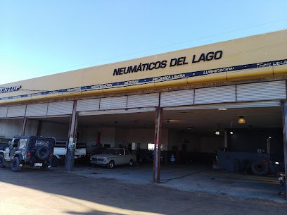 foto de Neumaticos del Lago