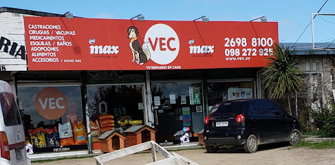 foto de Vec Solymar