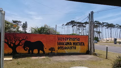 foto de Veterinaria Hakuna Matata